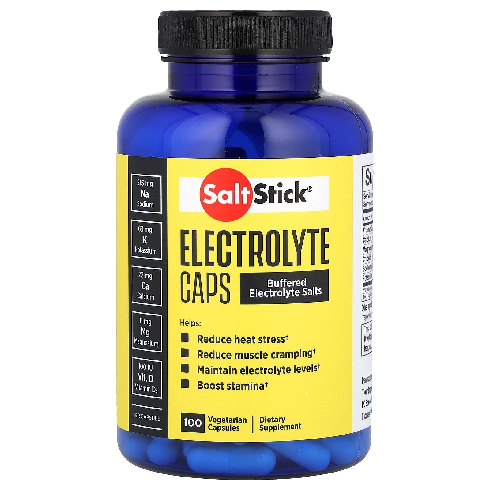 SaltStick Electrolyte Capsules with Vitamin D, Salt Pills for Running and Sports, 100 Capsules