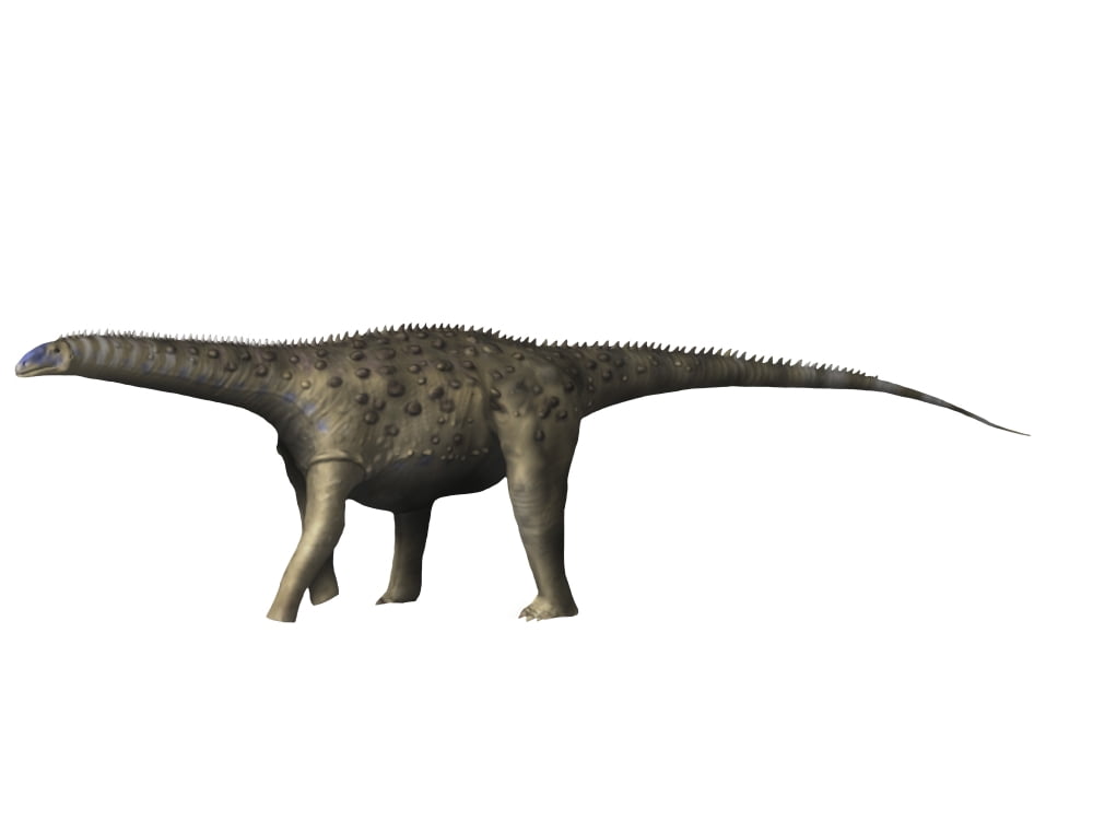 Saltasaurus dinosaur Canvas Art - Nobumichi TamuraStocktrek Images (17 x 13)