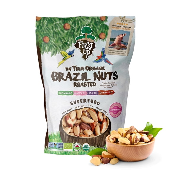 FOREST UP Snack The True Organic Brazil Nuts 15oz Roasted & Himalayan Salt Kosher Healthy-Rich in Vegetable Protein From Amazon Rainforest Fresh, Vegan, Gluten-Free and Oil Free