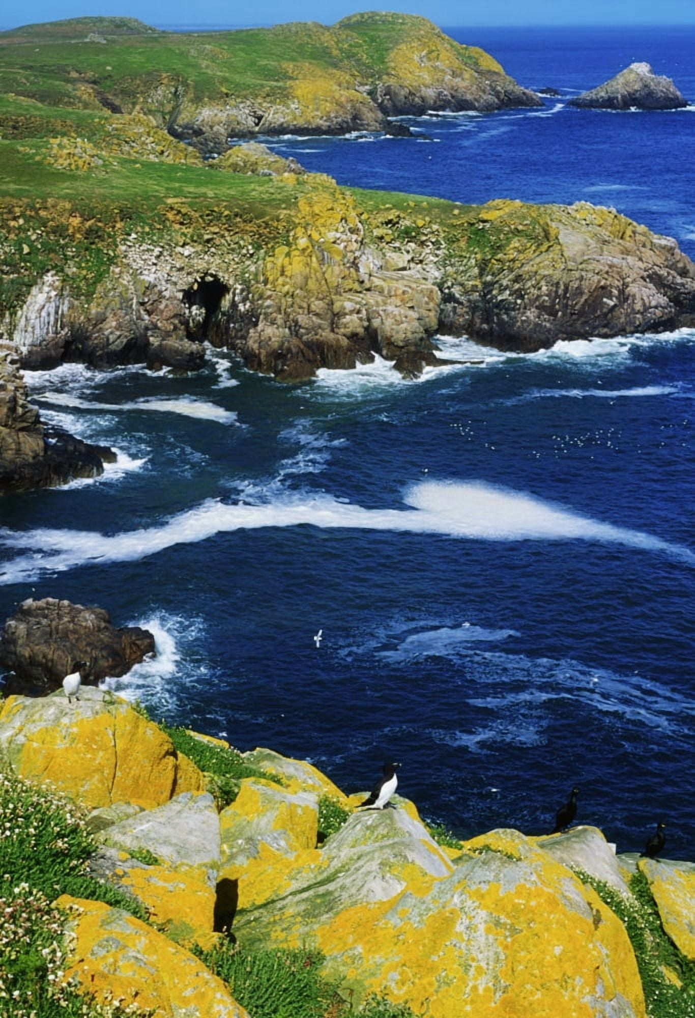 Saltee Islands Co Wexford Ireland Canvas Art - The Irish Image Collection Design Pics (12 x 18)