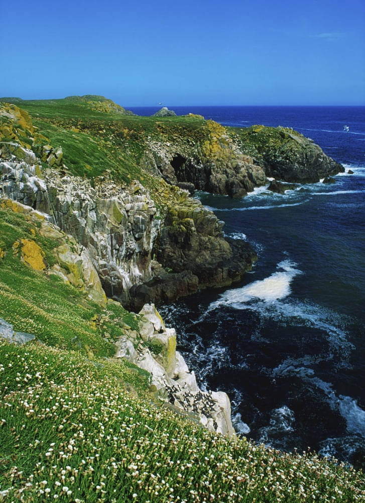 Saltee Islands Co Wexford Ireland Canvas Art - The Irish Image Collection Design Pics (26 x 36)