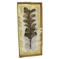 thumbnail image 1 of Saltoro Sherpi 8 Piece Feather Butterfly Accent Decor with Specimen Box, White, 1 of 5