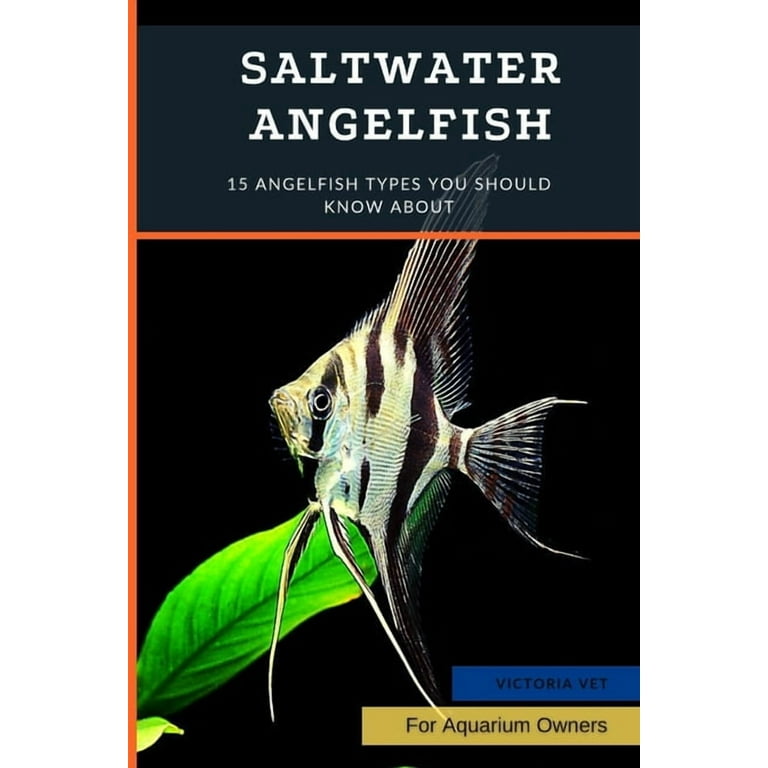 Saltwater Angelfish: 15 Angelfish Types You Should Know About