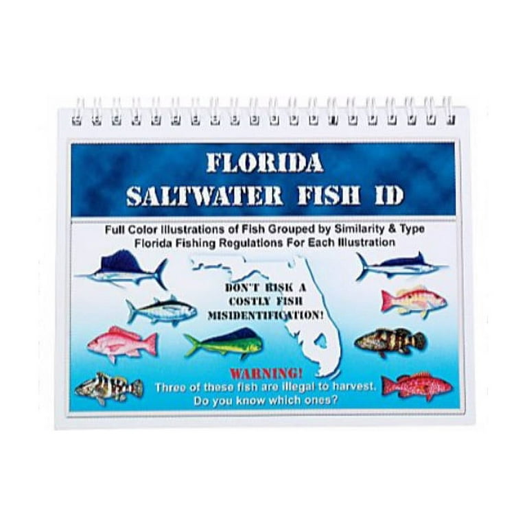 Saltwater Fish Florida Id Chart 