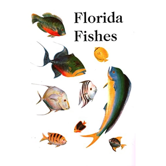 Pre-Owned Saltwater Florida Fishes (Paperback) 0820001228 9780820001227