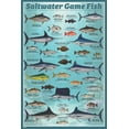 thumbnail image 1 of Saltwater Game Fish Mini Poster - 11" x 17", 1 of 5