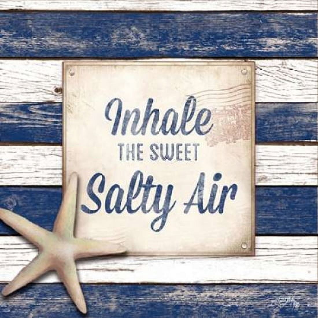 Salty Air Canvas Art - Elizabeth Medley (24 x 24)