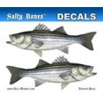 thumbnail image 1 of Salty Bones Decal Mini-Striped Bass Sticker, 1 of 1