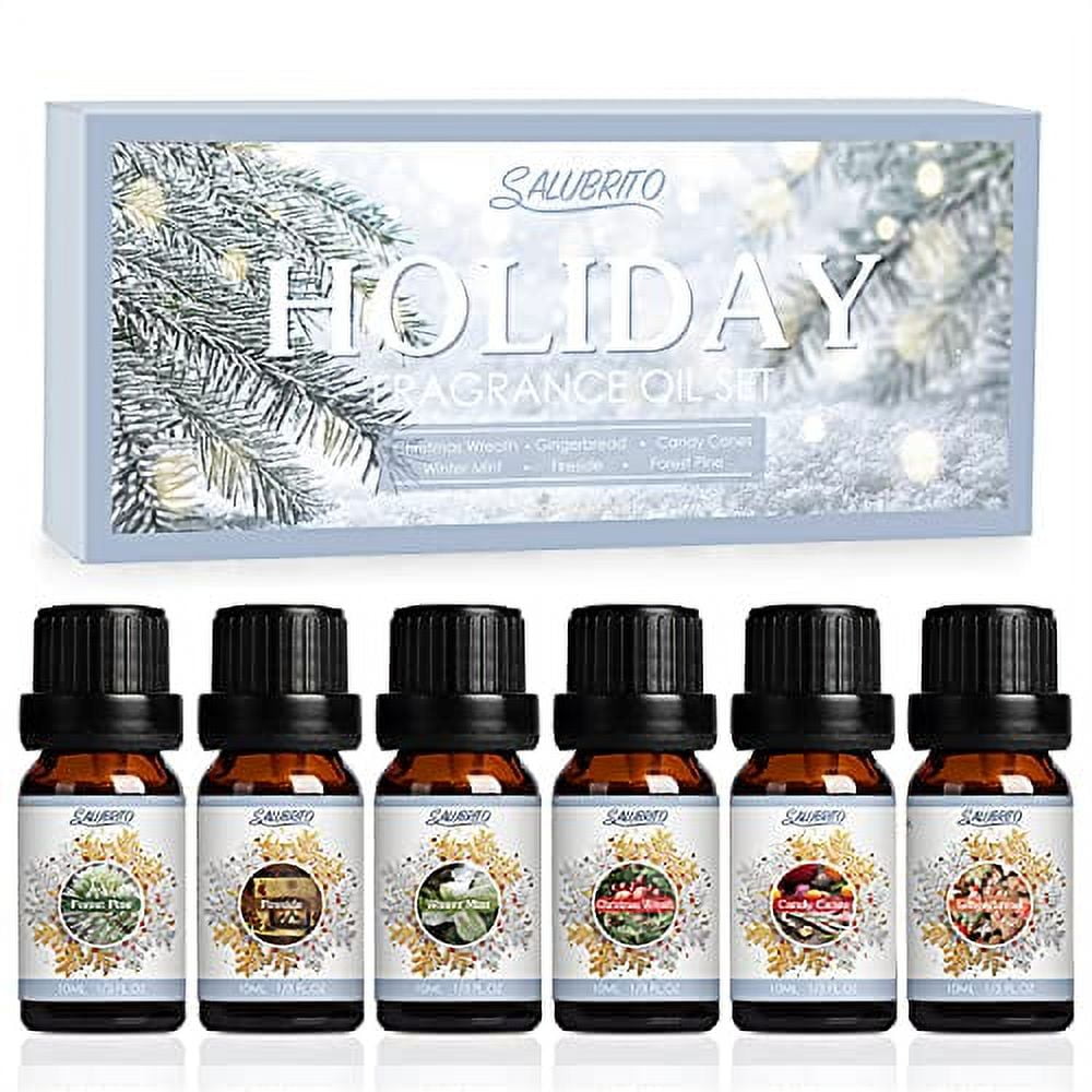 Winter Fragrance Oil Set, Premium Holiday Essential Oils for Diffuser and  Candle Making - Christmas Wreath, Gingerbread, Apple Cider, Cranberry