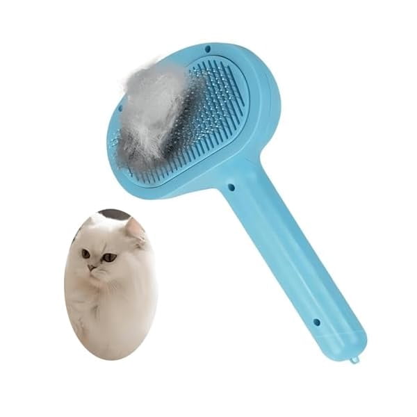 Saluqifa Cat Steam Brush, Cat Brush for Shedding, 3-in-1 Pet Comb ...