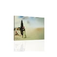 thumbnail image 1 of Salvador Dali 1936 Printemps Necrophilique - Canvas OR Print Wall Art, 1 of 1