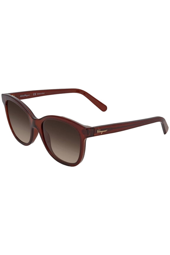 Salvatore Ferragamo SF 834S Plastic Womens Rectangle Sunglasses Brown 55mm Adult