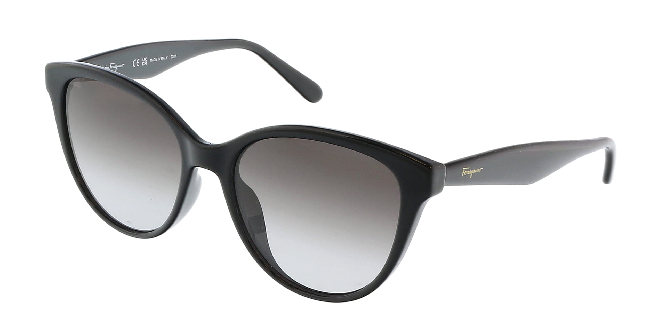 Salvatore Ferragamo SF1073S 001 Cat Eye Full Rim Sunglasses