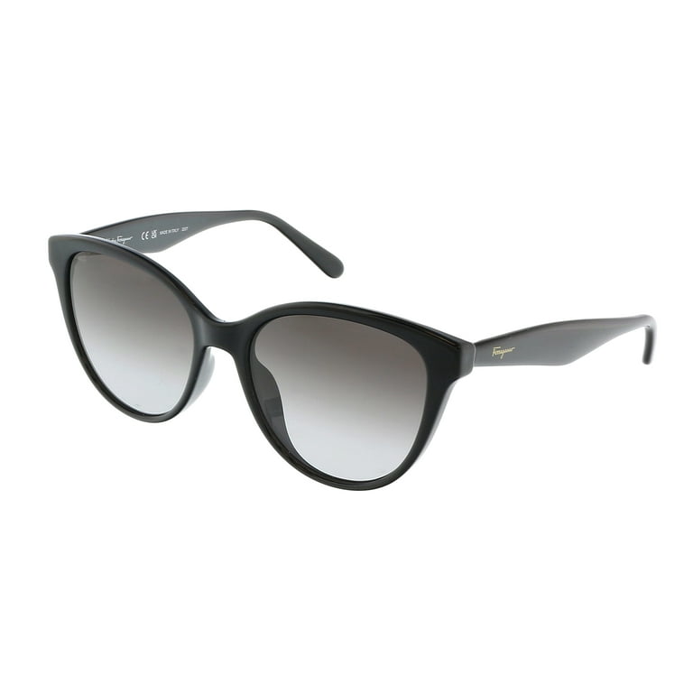 Salvatore Ferragamo SF1073S 001 Cat Eye Full Rim Sunglasses