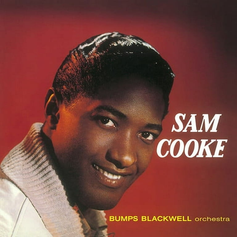 未使用 Sam Cooke - Songs By Sam Cooke / LP Sam Cooke - Songs By Sam Cooke - Music & Performance - Vinyl