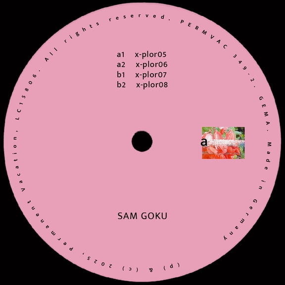 Sam Goku Explorations 02 (Vinyl Record) 12" EP