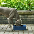 thumbnail image 1 of Sam's Pets Duke Pet Bowl 13'' In Navy Blue, 1 of 10