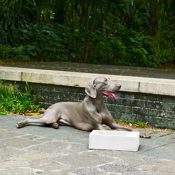 Sam's Pets Duke Pet Bowl 13'' In Sand White