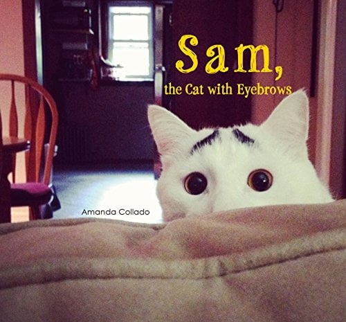 Pre-Owned Sam, the Cat with Eyebrows (Paperback) 4865050760 9784865050769