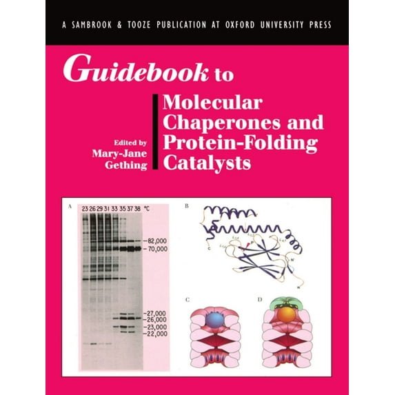 Sambrook & Tooze Guidebook Guidebook to Molecular Chaperones and Protein-Folding Catalysts, (Paperback)