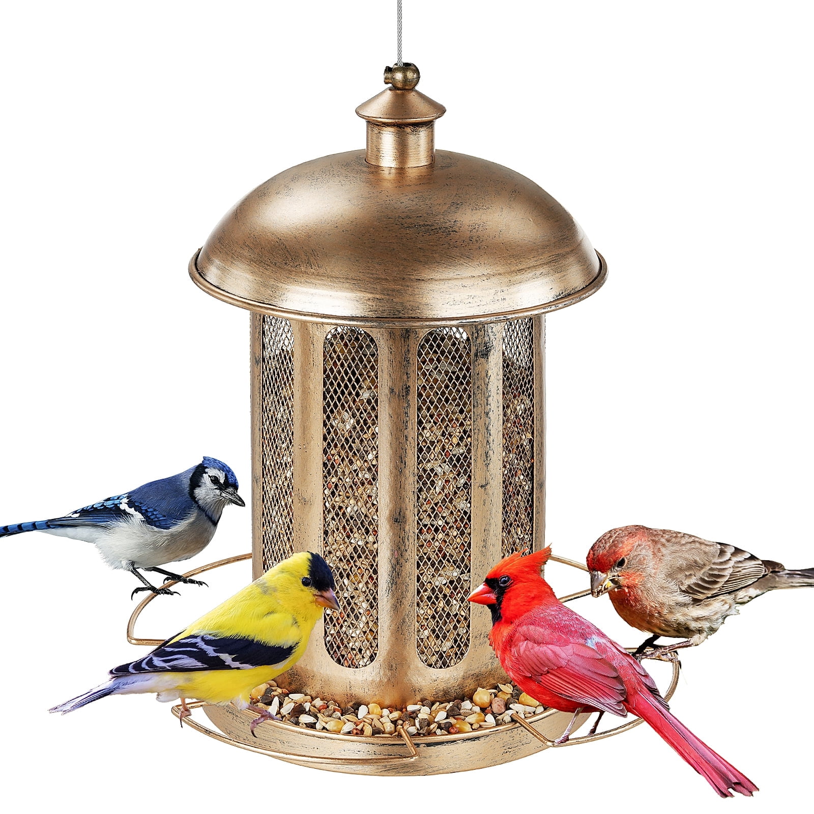 The Pioneer Woman Mazie Squirrel-Proof Decorative Outdoor Bird