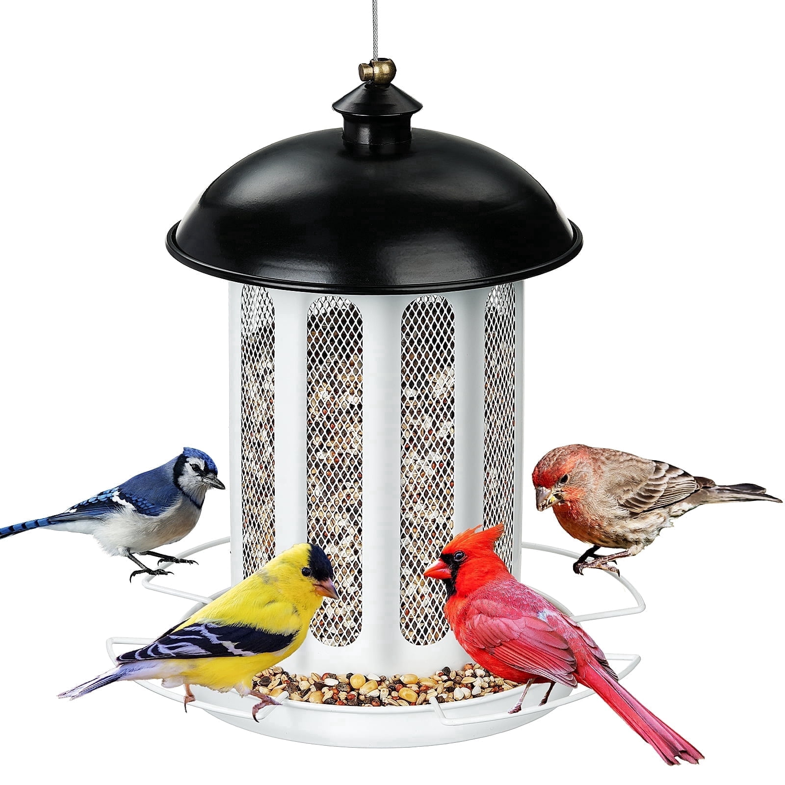 Samhe Bird Feeder, Bird Feeders for Outdoor Hanging, Heavy Duty Metal Wild Birdfeeder 4 lbs Large Capacity, White