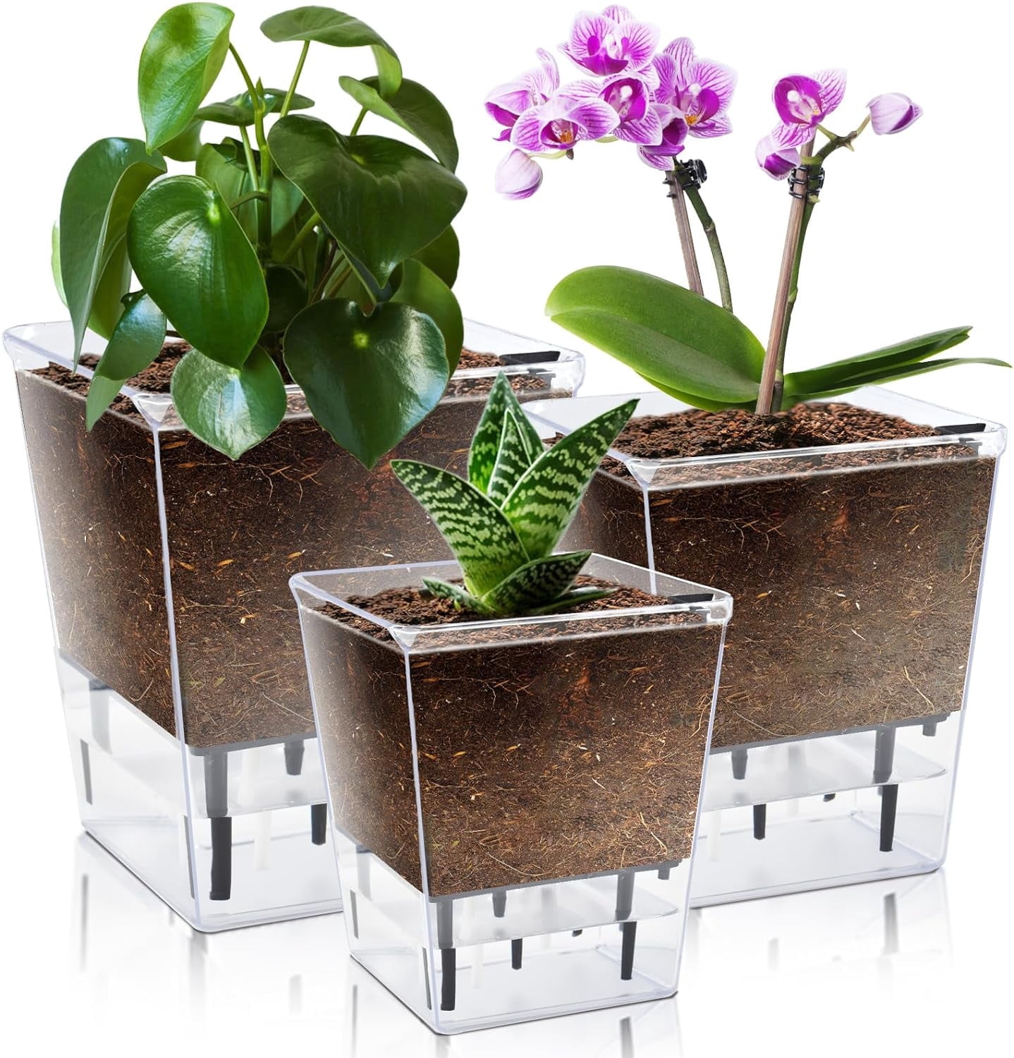 Samhe 3 Pack Self Watering Plant Pots, 5/4.1/2.7 inch Clear Plastic Planters with Deep Reservoir for Indoor & Outdoor Plants