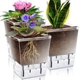thumbnail image 1 of Samhe 3-Pack Self Watering Planters 5 inch Flower Pots Planters with Deep Reservoir for Spider Plant, Orchid, African Violet, 1 of 9