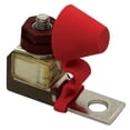 thumbnail image 1 of Samlex DC-FA-100 Fuse Assembly - 100 Amp, 1 of 3