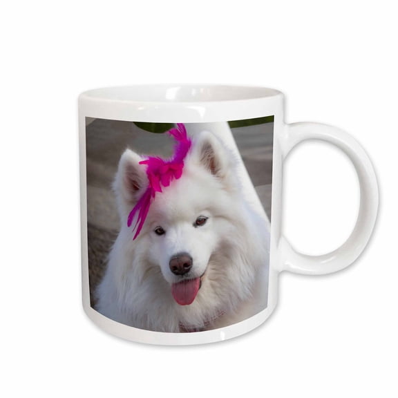 3drose, Samoyed in Palm Desert, California., 11oz Mug