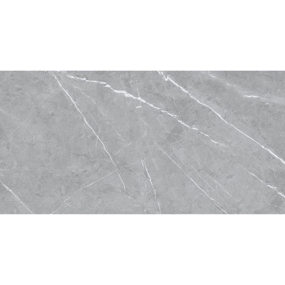 The Tile Life Chaplin Gray Matte Porcelain Floor & Wall Tile, 4 x 4 in, 1-Piece Sample