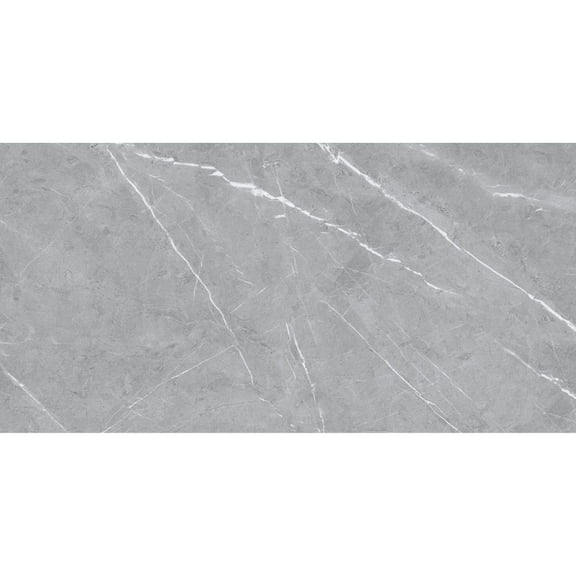 The Tile Life Chaplin Gray Matte Porcelain Floor & Wall Tile, 4 x 4 in, 1-Piece Sample
