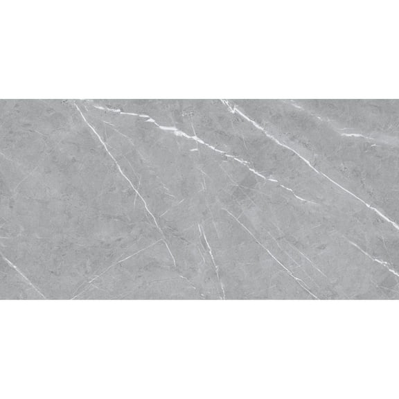 The Tile Life Chaplin 4" x 4" Gray Matte Porcelain Tile Sample