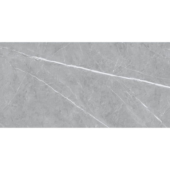 The Tile Life Chaplin Gray Polished Porcelain Floor & Wall Tile, 4 x 4 in, 1-Piece Sample
