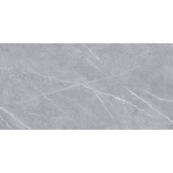 The Tile Life Chaplin Gray Polished Porcelain Floor & Wall Tile, 4 x 4 in, 1-Piece Sample