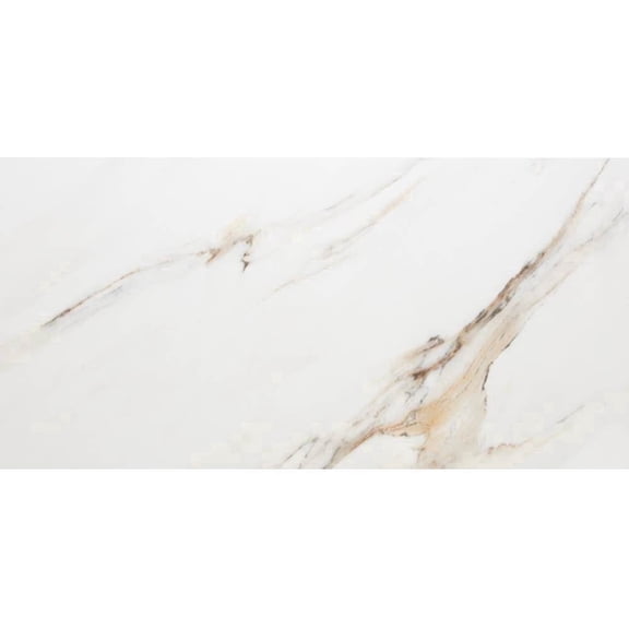 The Tile Life Monarch Oro 4" x 4" Calacatta Gold Matte Porcelain Tile Sample 1 Piece