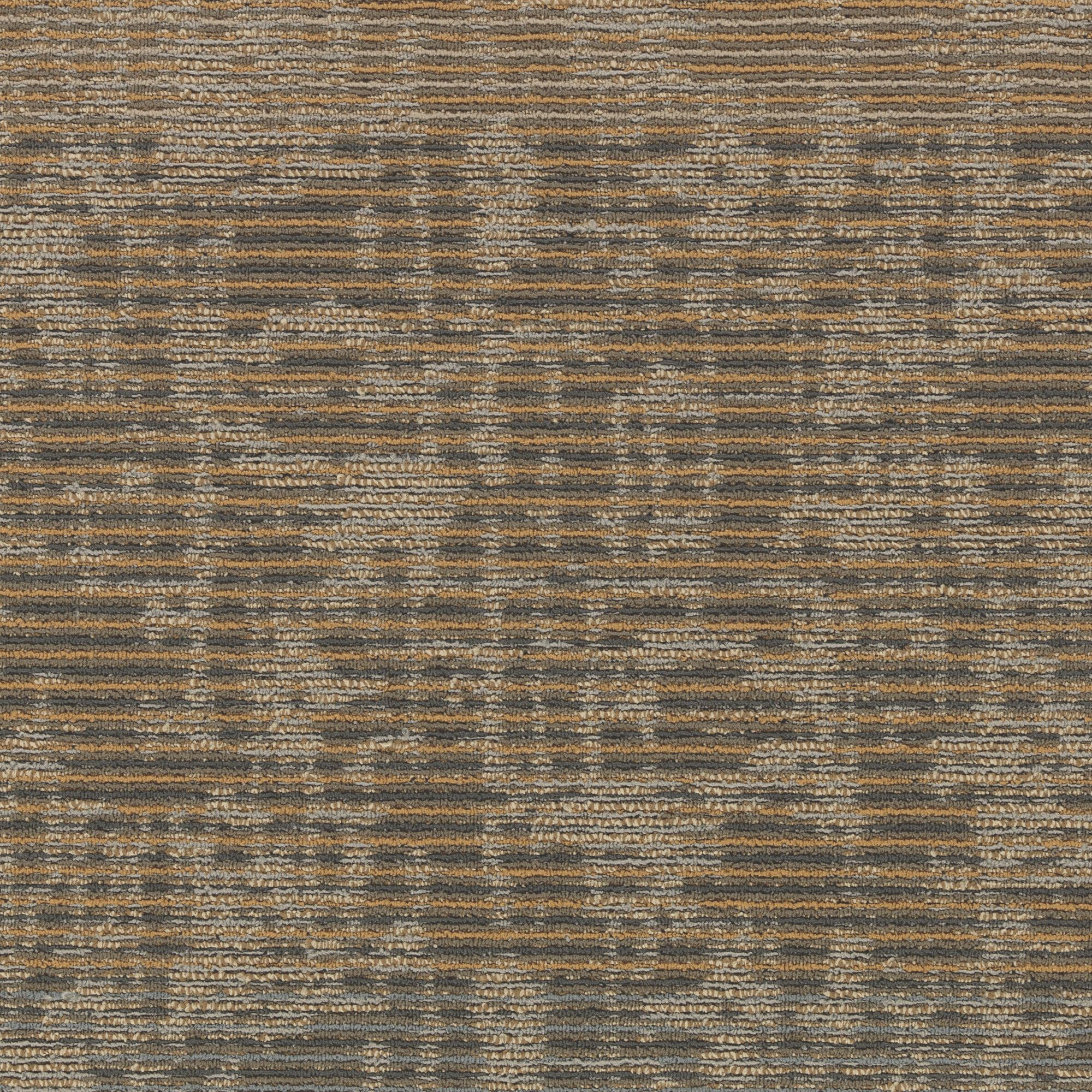 Samples Bowes 24" x 24" (1SF/piece) carpet tile in IMAGINARY POINT
