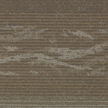 Samples Nunney 24" x 24" (1SF/piece) carpet tile in DIMENSIONAL