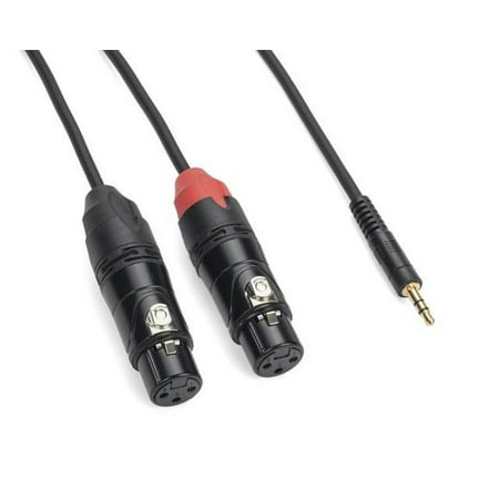 PRO TPA Breakout Cable - 1/8" TRS to Dual XLR Female 9ft