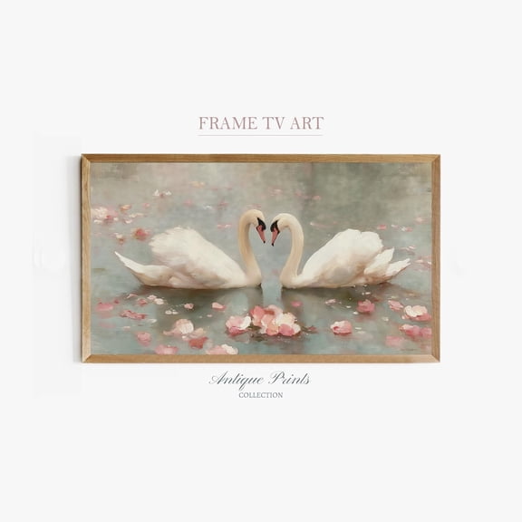 Samsung Tv 4K Art Romantic Swan For Valentine'S Day Poster , Poster Print Only