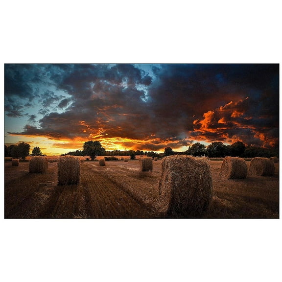 Samsung VM46B-U 46" 1920 x 1080 Display 1200:1