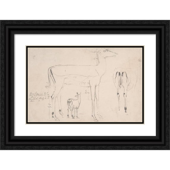 Samuel Daniell 14x11 Black Ornate Wood Framed Double Matted Museum Art Print Titled: Studies of Deer - Three on on Sheet (ca. 1801)