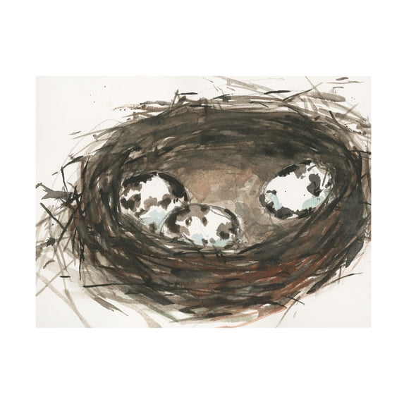 Samuel Dixon 'Nesting Eggs II' Canvas Art