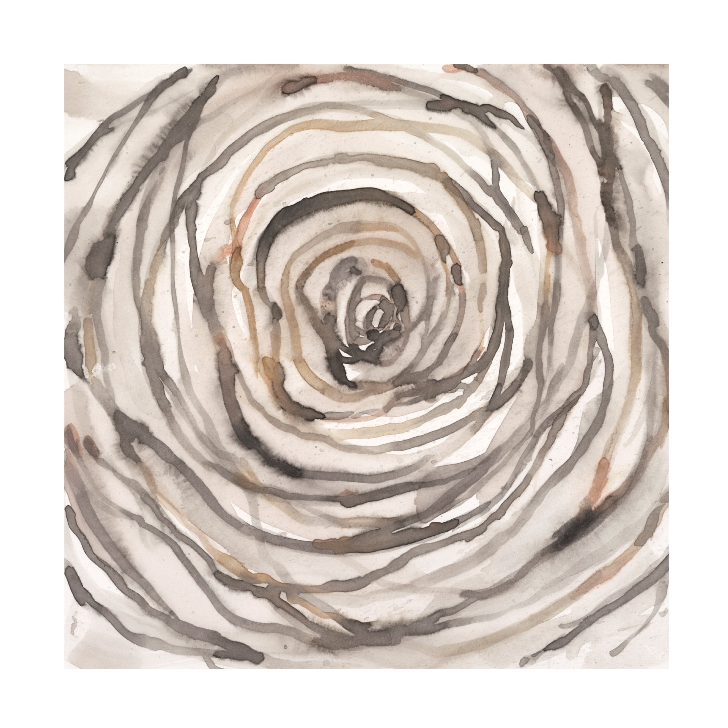 Samuel Dixon 'Twisted Branch I' Canvas Art