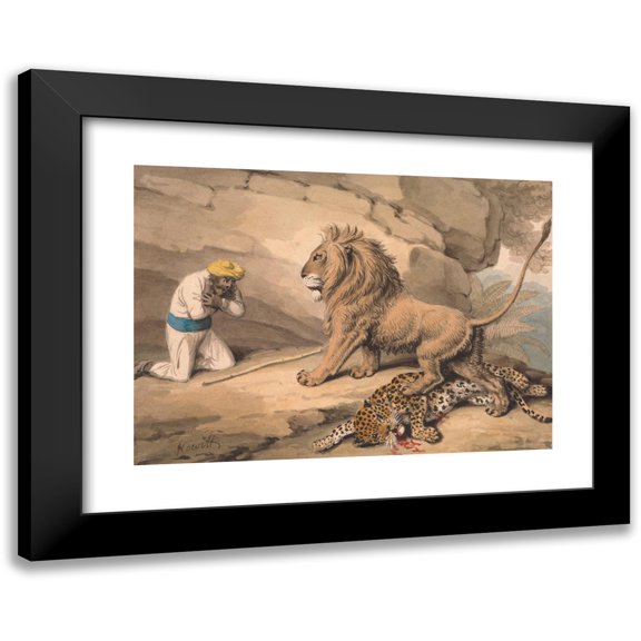 Samuel Howitt 14x11 Black Modern Framed Museum Art Print Titled - A Lion Standing Over a Wounded Leapard
