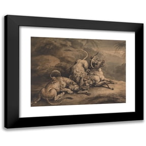 Samuel Howitt 14x11 Black Modern Framed Museum Art Print Titled - Lion and Lioness Attacking a Steer