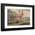 thumbnail image 1 of Samuel Howitt 18x15 Black Modern Framed Museum Art Print Titled - Stag, Doe and Fawns, 1 of 5