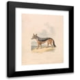 thumbnail image 1 of Samuel Howitt 20x24 Black Modern Framed Museum Art Print Titled - Black-Backed Jackal (ca. 1817), 1 of 5