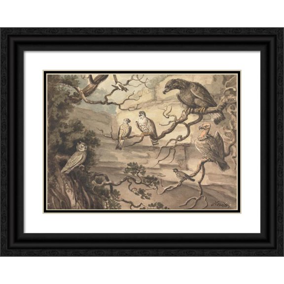 Samuel Howitt 24x18 Black Ornate Framed Double Matted Museum Art Print Titled: An Owl, an Eagle, Two Falcons, a Vulture and Other Birds Perched in Trees
