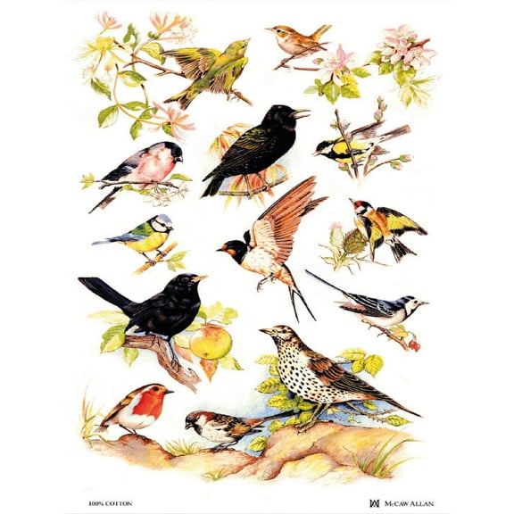 Samuel Lamont, 'British Birds' Kitchen/Tea Towel, Imported, 100 Percent Cotton